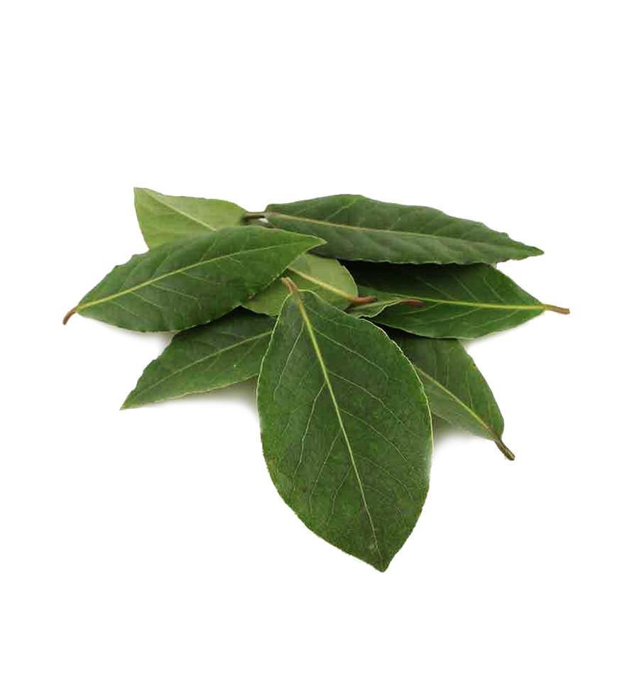 bay leaf essential oil
