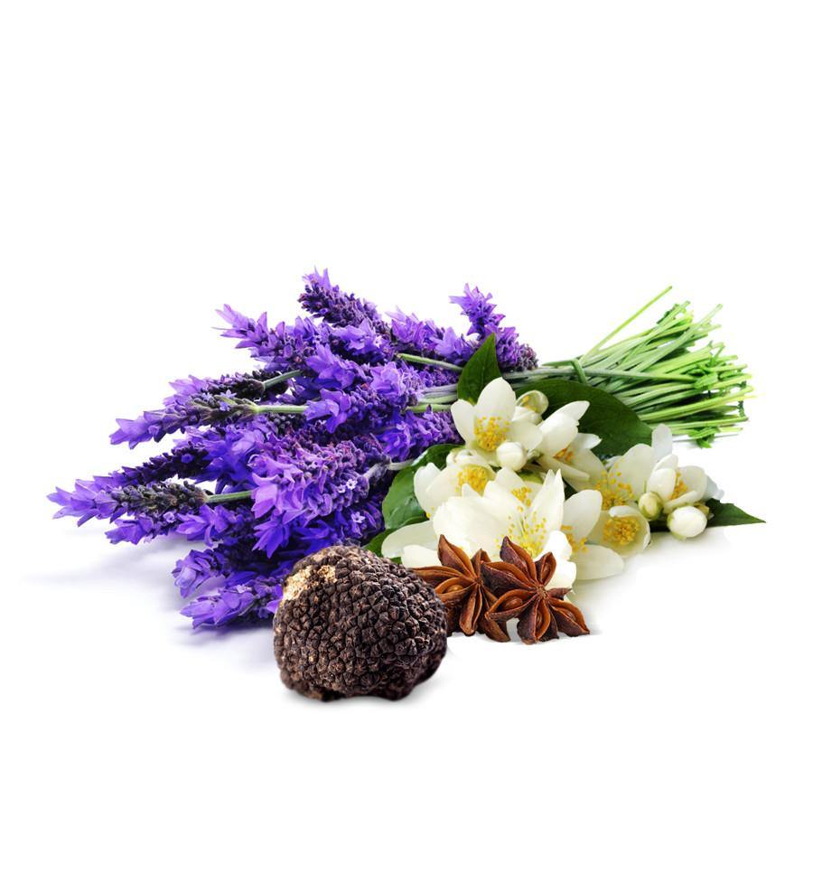 Black Jasmine, Truffle & Lavender Fragrance Oil - New Zealand Candle Supplies