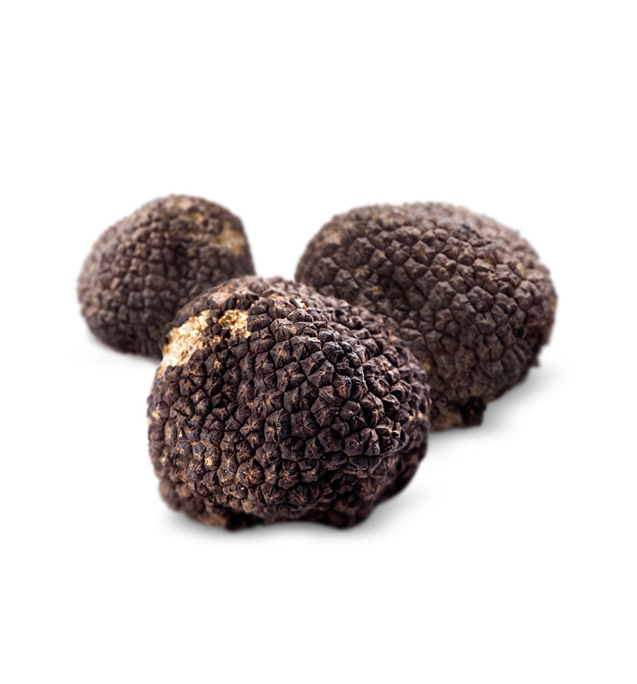 Black Truffle Fragrance Oil - New Zealand Candle Supplies
