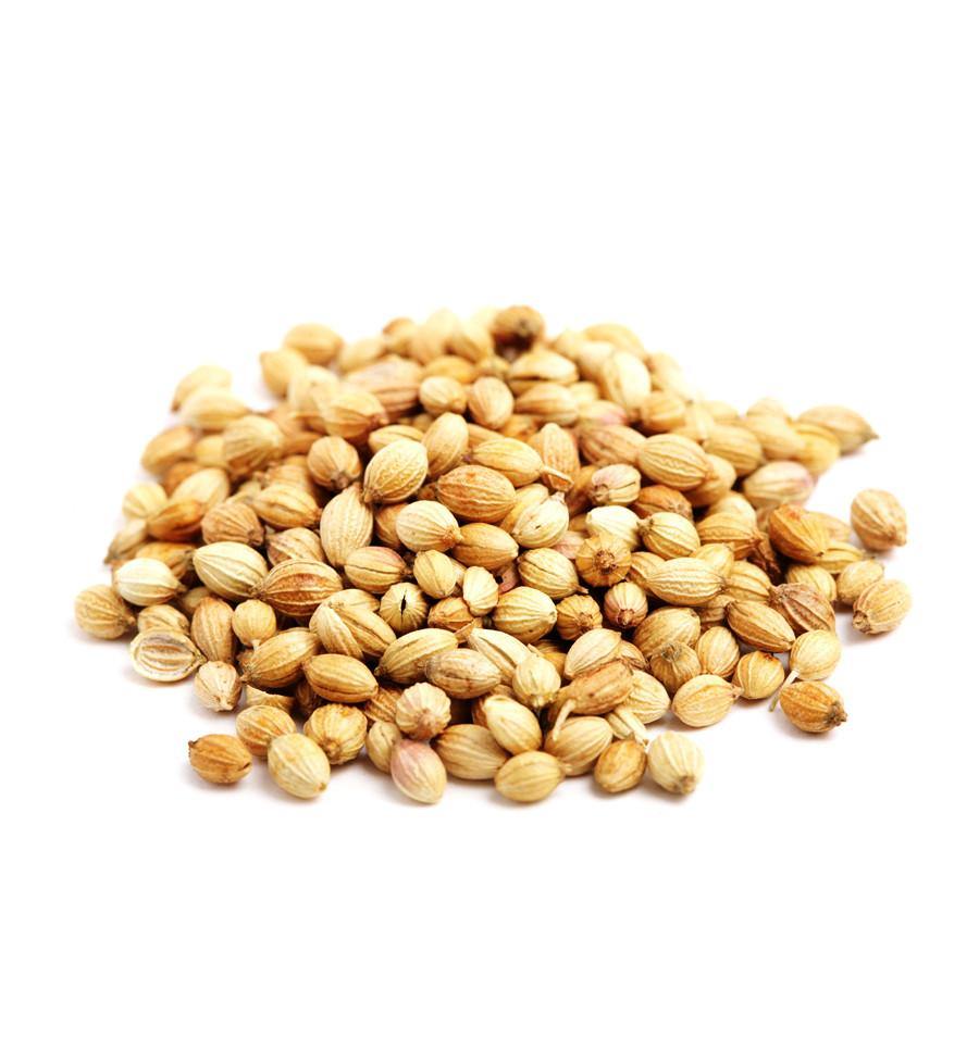 buy coriander essential oil nz candle supplies wholesale supplier for pure oils