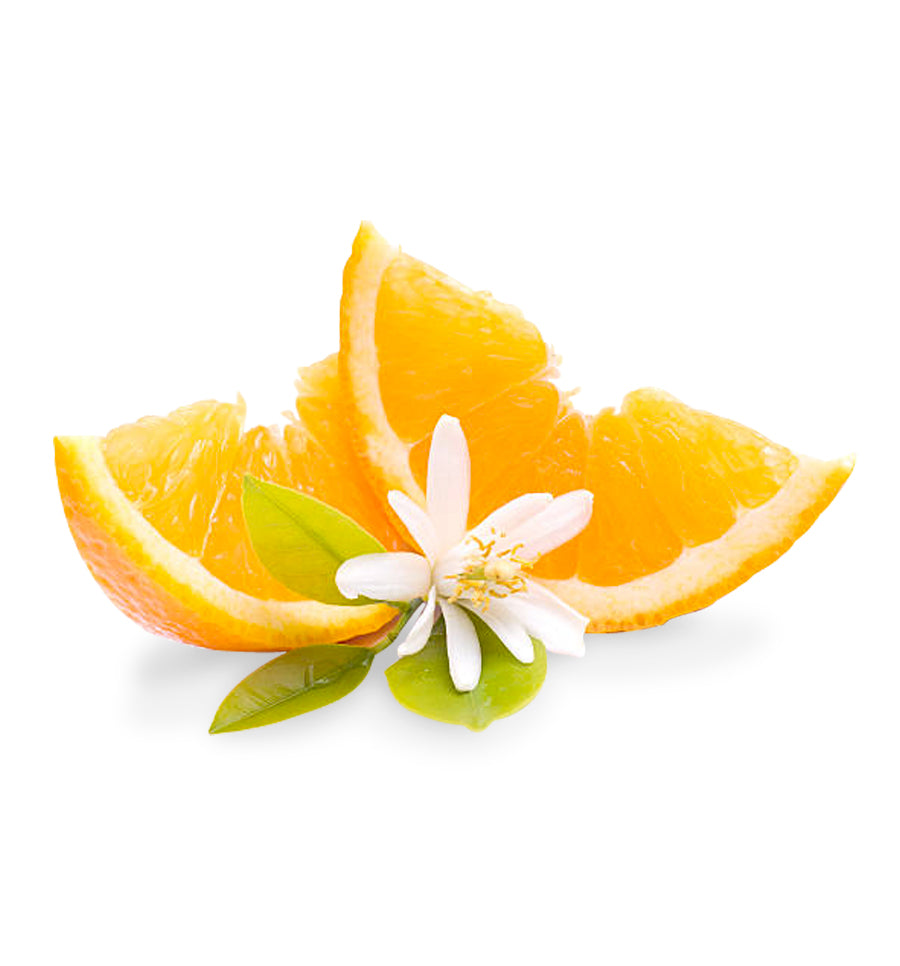 Natural Orange Blossom Fragrance Oil - New Zealand Candle Supplies