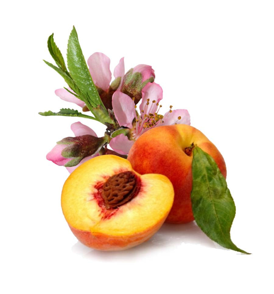Peach Blossom Natural Fragrance Oil - New Zealand Candle Supplies