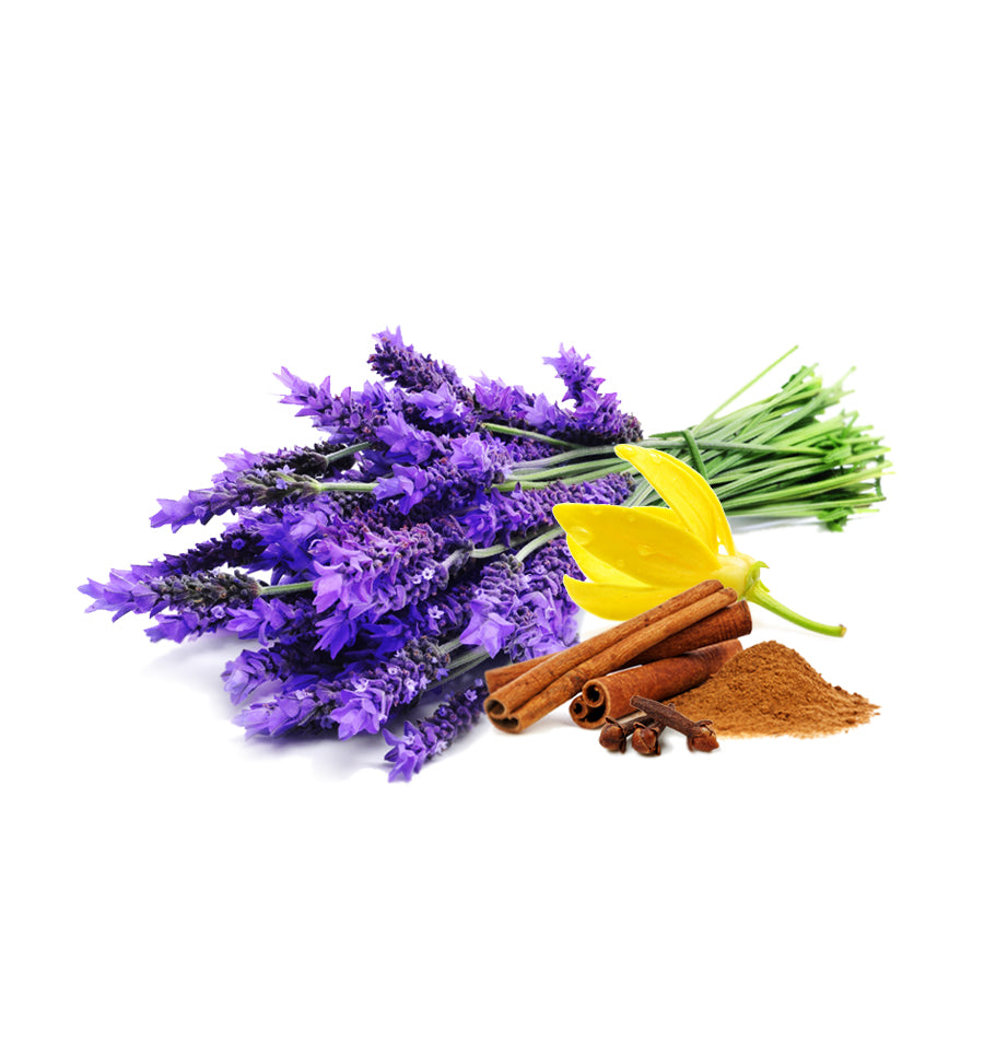Smoked Lavender Fragrance Oil - New Zealand Candle Supplies