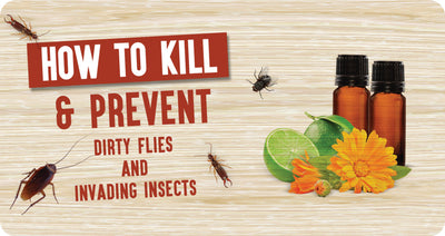 How to prevent and kill dirty flies and invading insects without using toxic chemicals