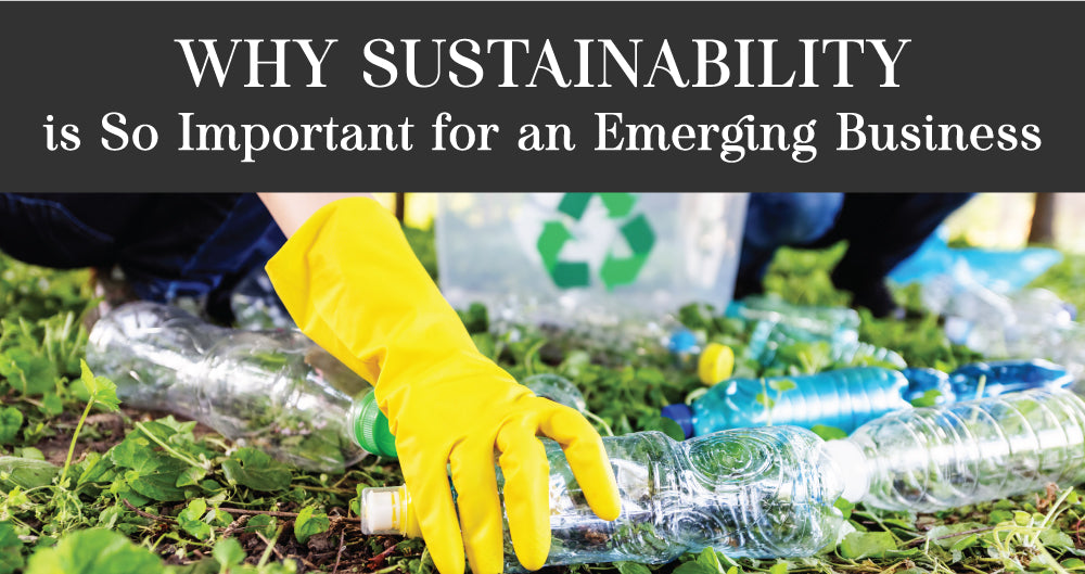 Why Sustainability Is So Important For An Emerging Business