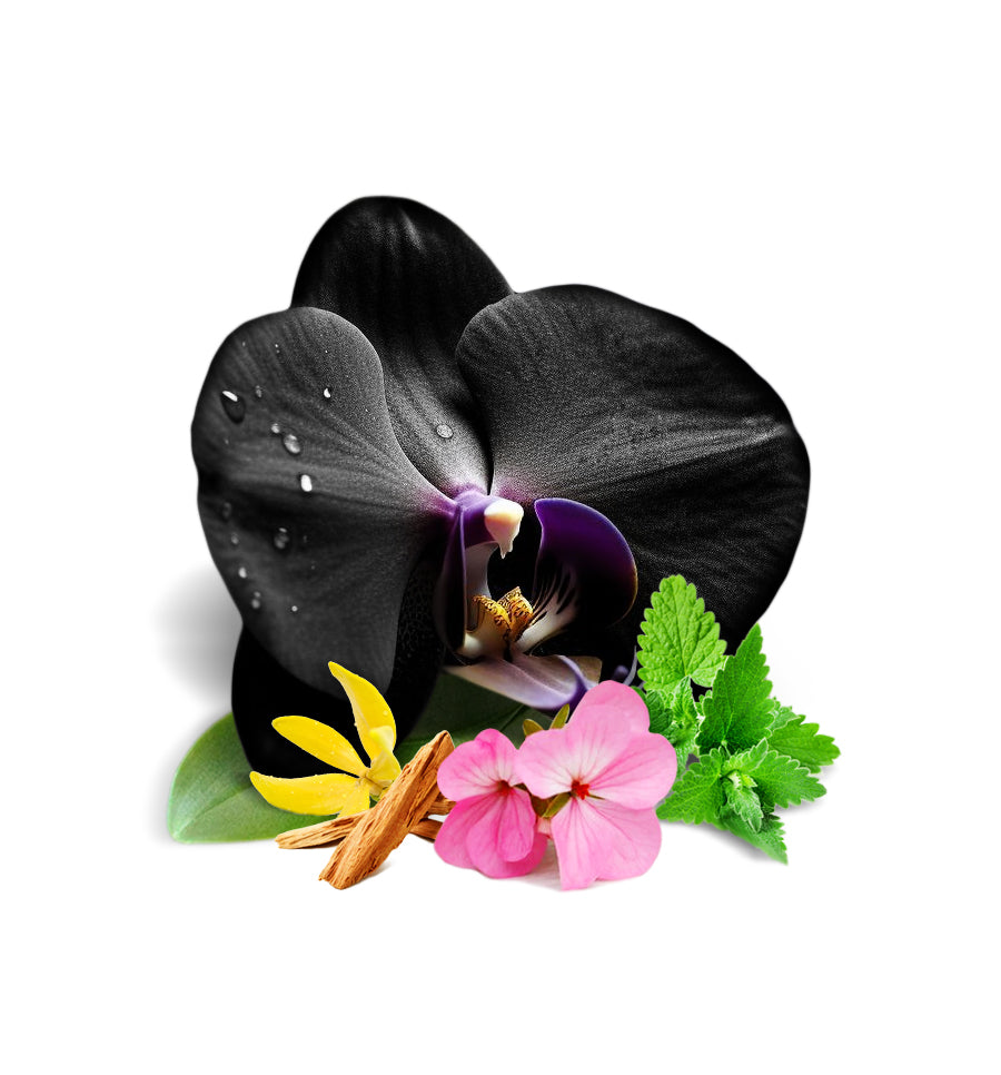 Black Orchid and Patchouli Fragrance Oil