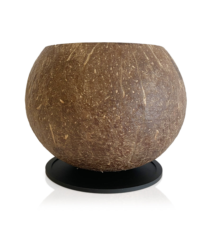 Natural Coconut Shell