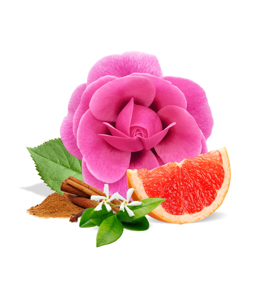 Persian Rose Fragrance Oil