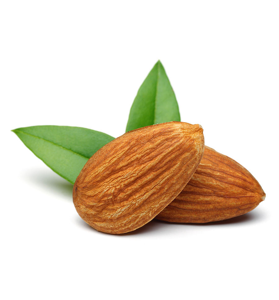 Sweet Almond Oil - New Zealand Candle Supplies
