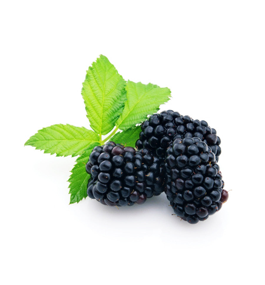 Black Raspberry Single Note Natural Fragrance Oil - New Zealand Candle Supplies