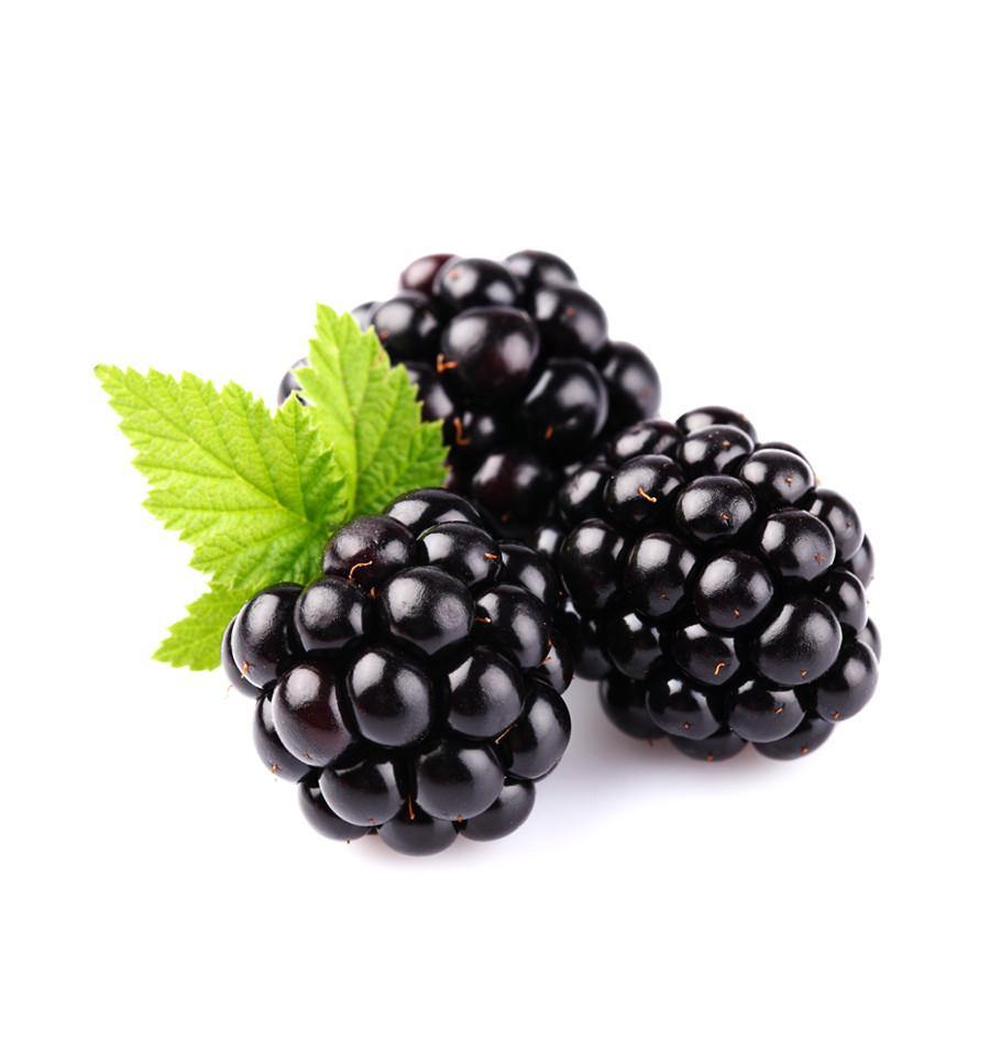 Blackberry Single Note Fragrance Oil END OF LINE - New Zealand Candle Supplies
