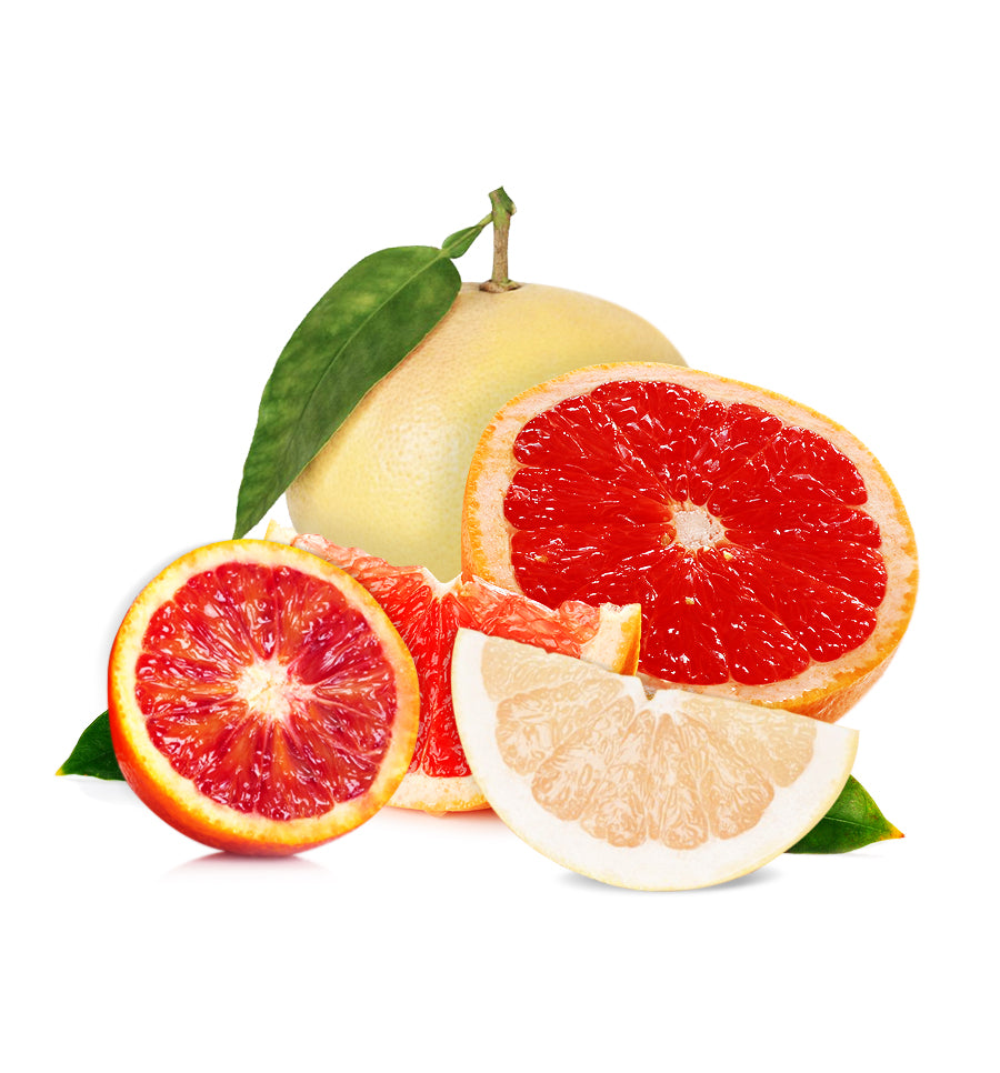Blood Orange & Grapefruit Fragrance Oil - New Zealand Candle Supplies