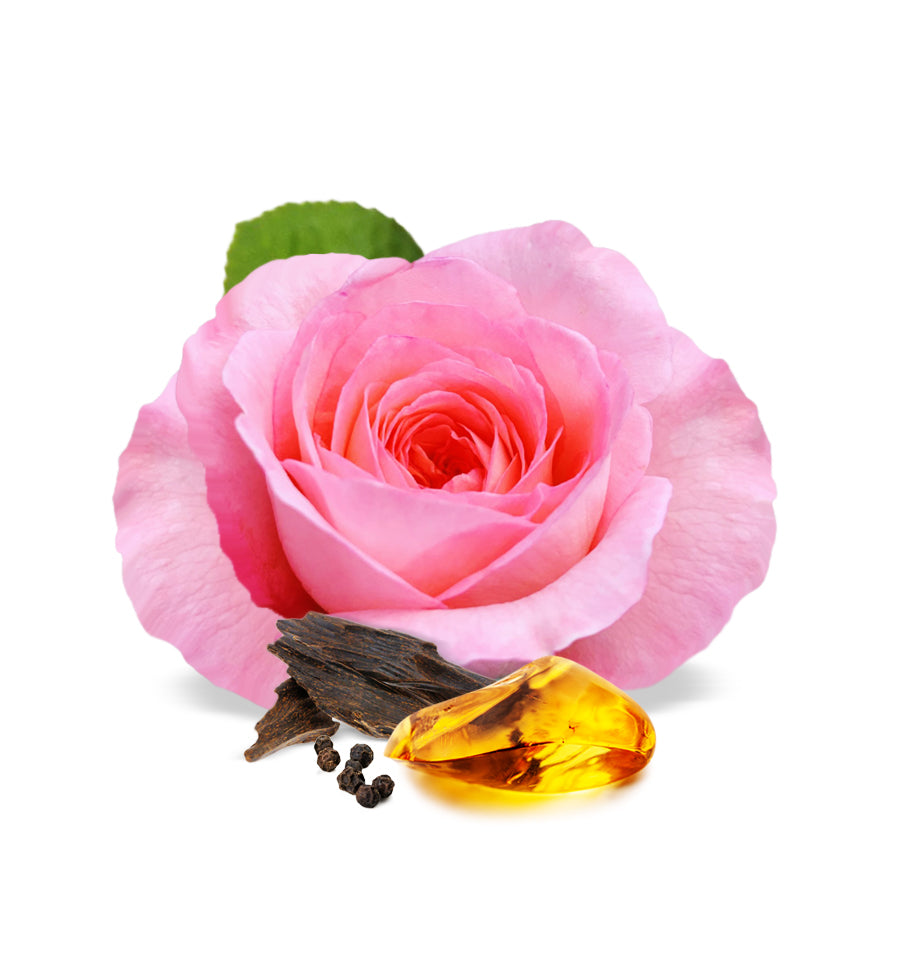 Bulgarian Rose Amber and Oud Wood Fragrance Oil