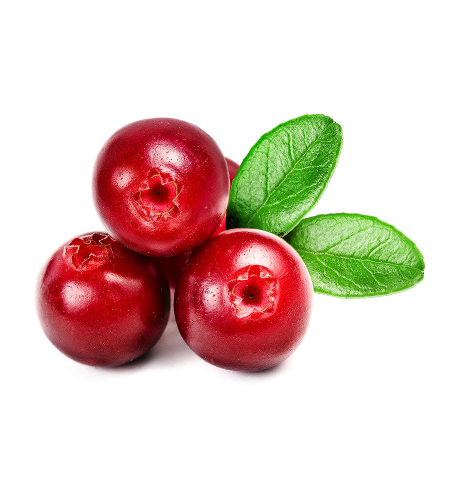 Cranberry Single Note Natural Fragrance Oil - New Zealand Candle Supplies