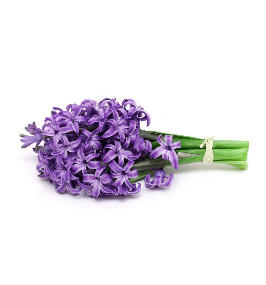 Hyacinth Single Note Fragrance Oil - New Zealand Candle Supplies