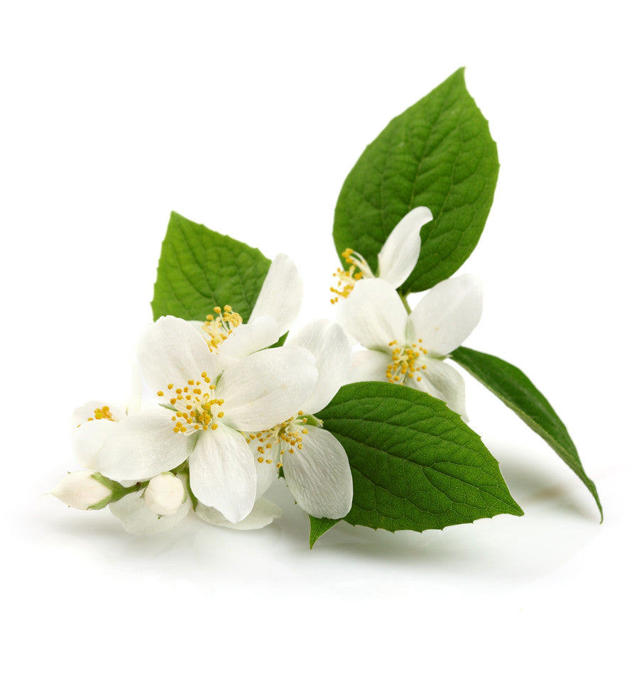 Jasmine Natural Fragrance Oil - New Zealand Candle Supplies