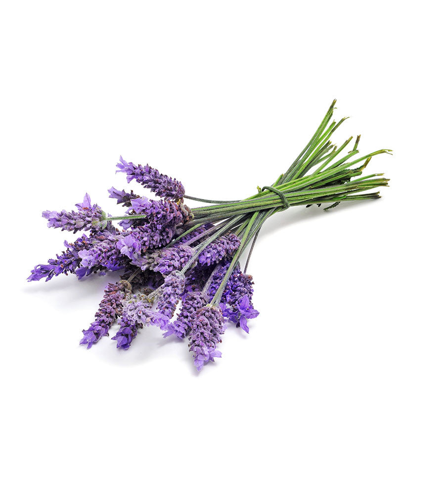 French Lavender Natural Fragrance Oil - New Zealand Candle Supplies