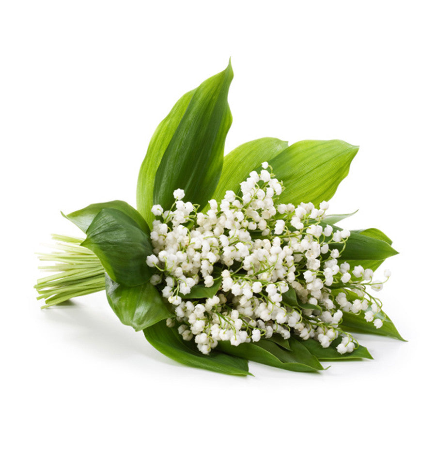 Lily of the Valley Natural Fragrance Oil - New Zealand Candle Supplies