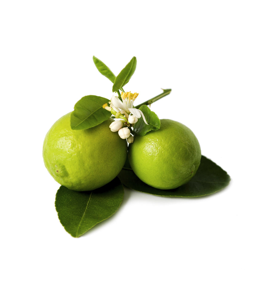 Lime Blossom (Linden Blossom) Fragrance Oil - New Zealand Candle Supplies
