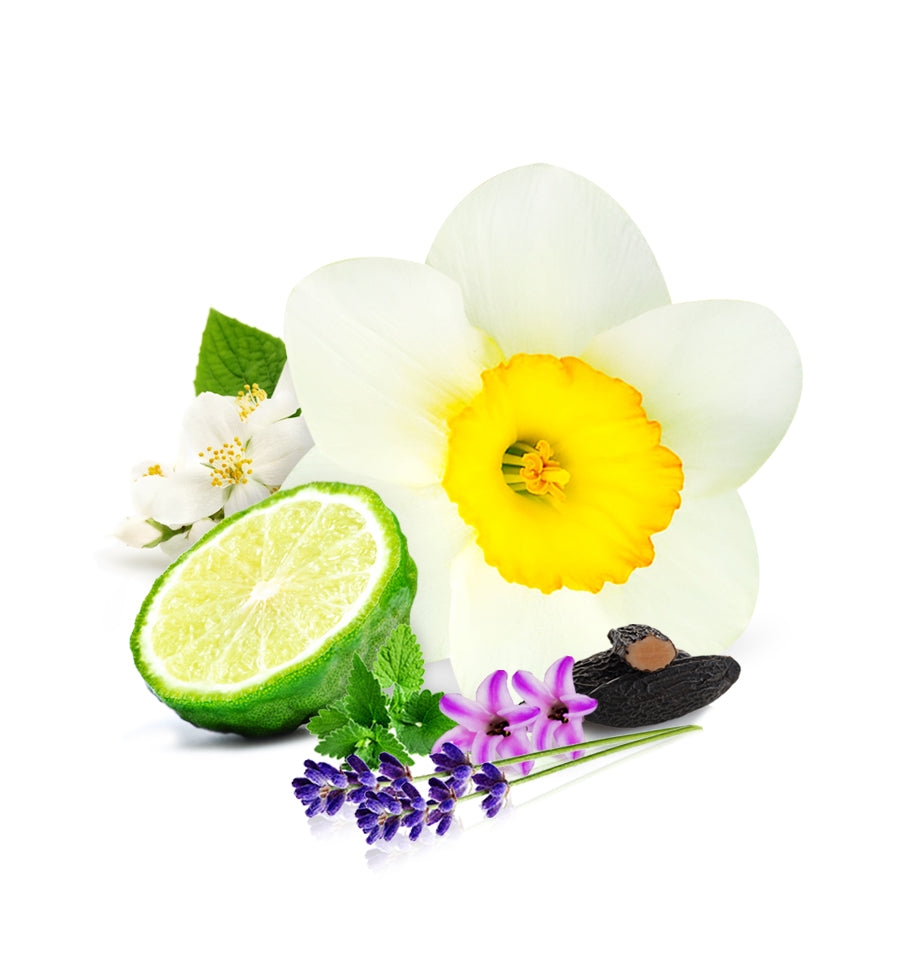 Narcissus Fragrance Oil - New Zealand Candle Supplies