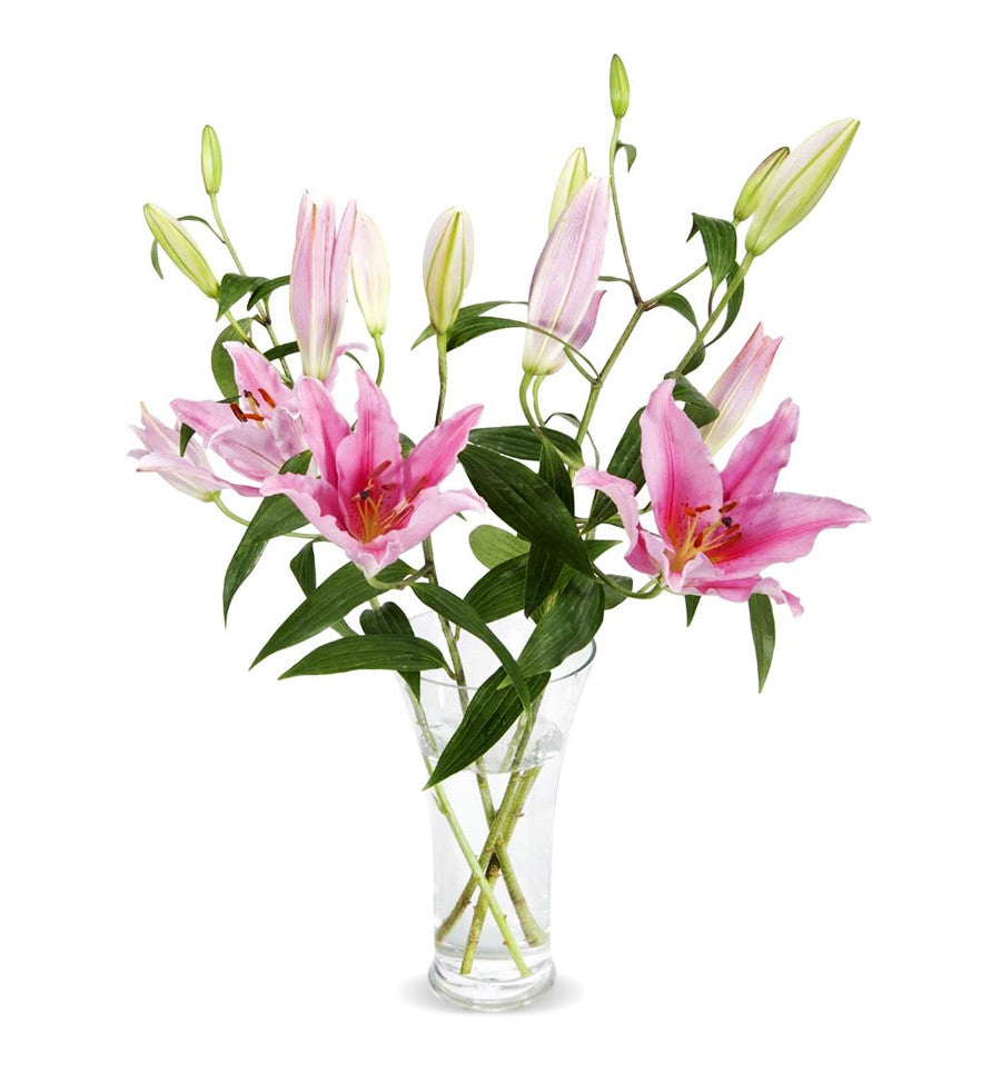 Oriental Lily Single Note Fragrance Oil - New Zealand Candle Supplies