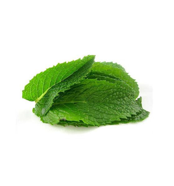 Peppermint Essential Oil - New Zealand Candle Supplies