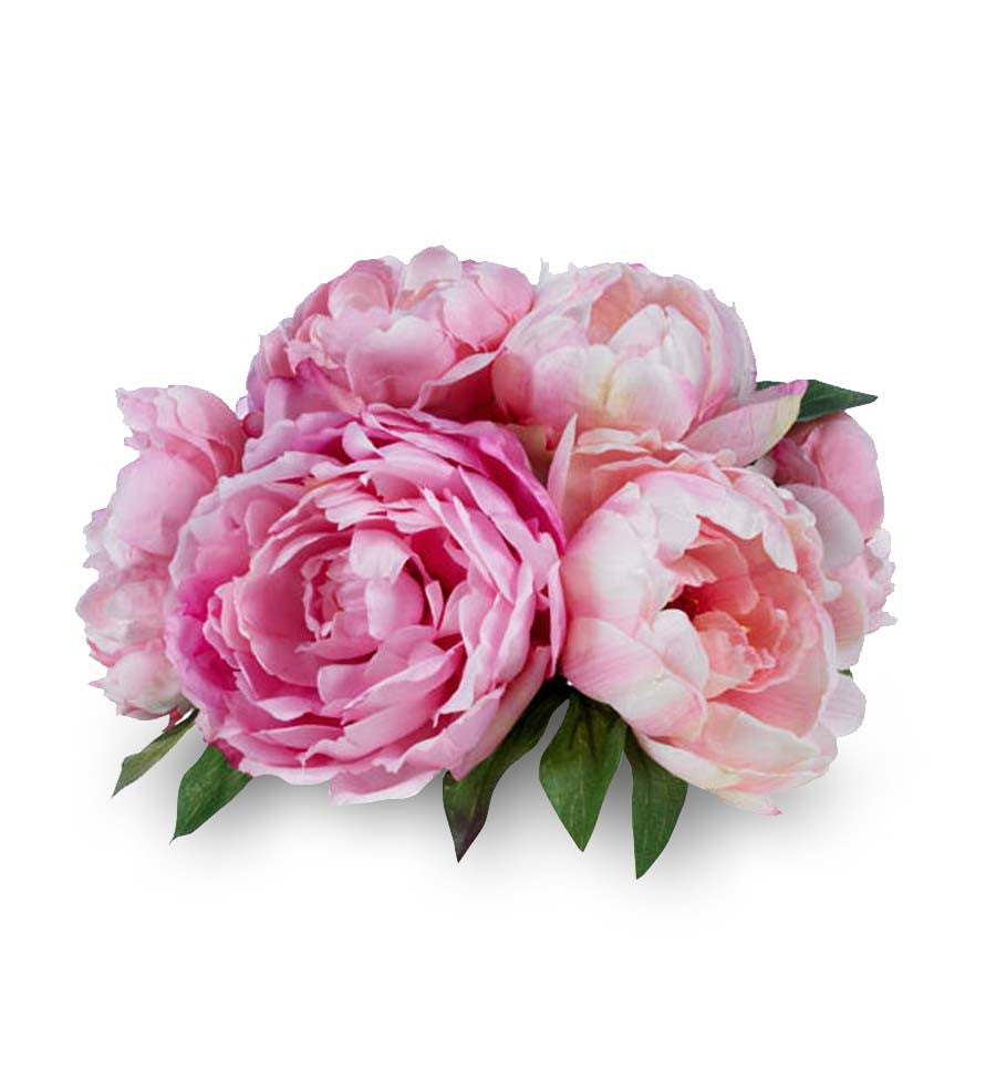 Pink Peony Natural Fragrance Oil - New Zealand Candle Supplies