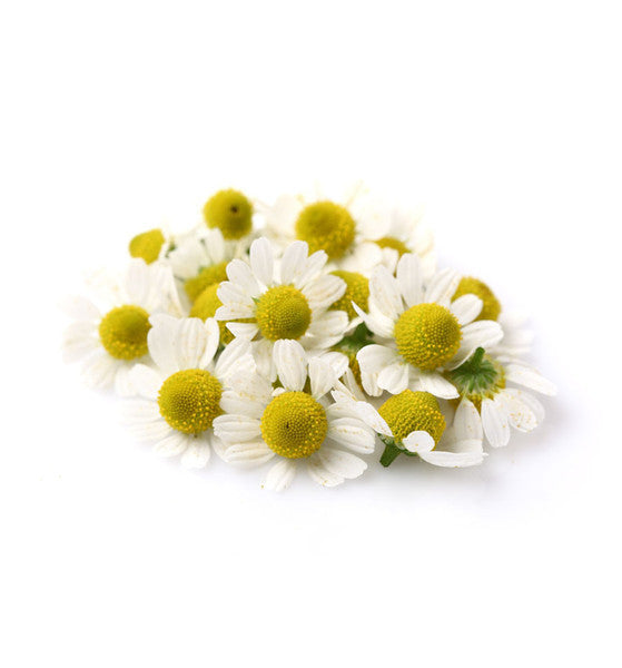Chamomile Natural Fragrance Oil - New Zealand Candle Supplies