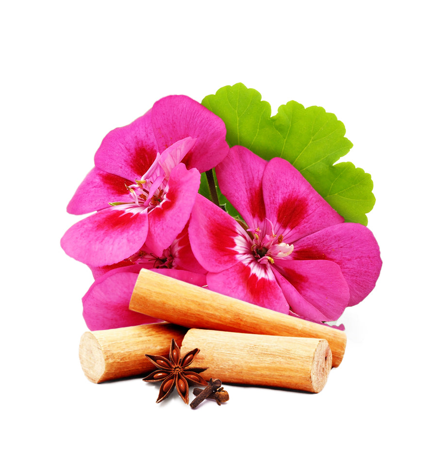Rose Geranium and Sandalwood Fragrance Oil - New Zealand Candle Supplies