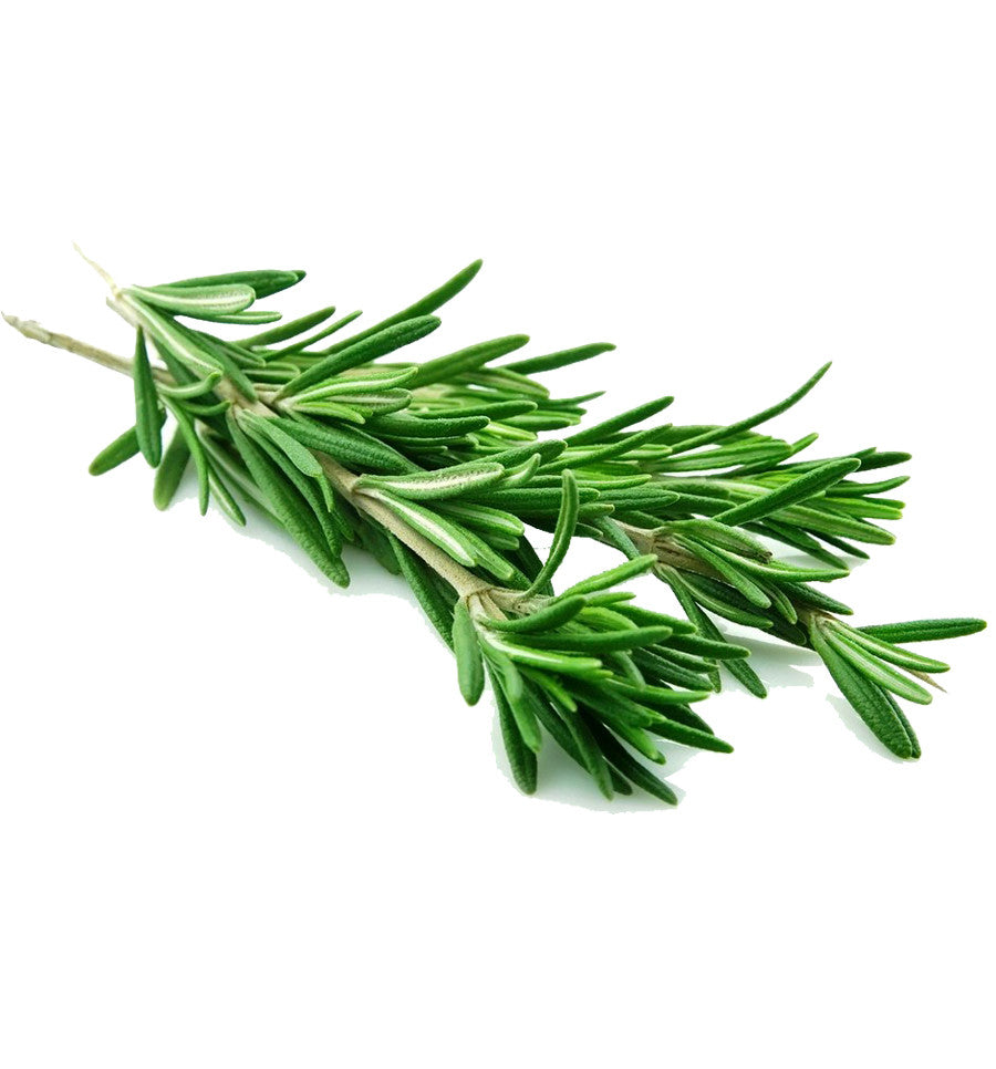 Rosemary Essential Oil - New Zealand Candle Supplies