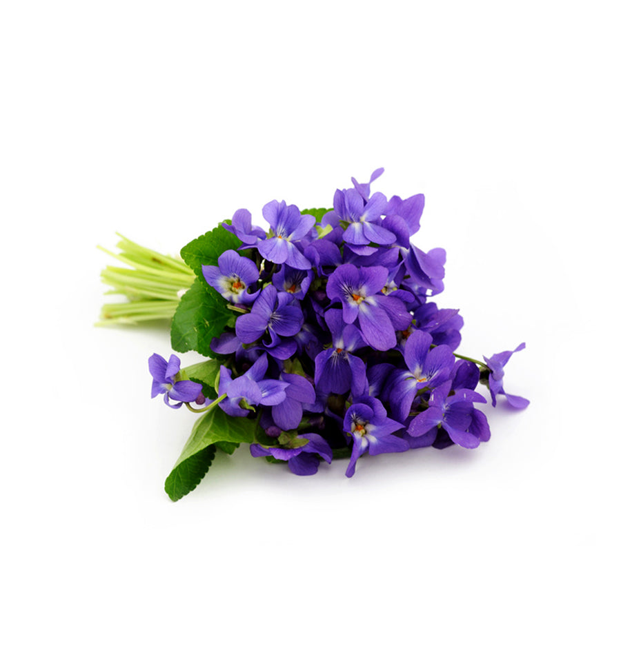 Natural Violet Fragrance Oil - New Zealand Candle Supplies
