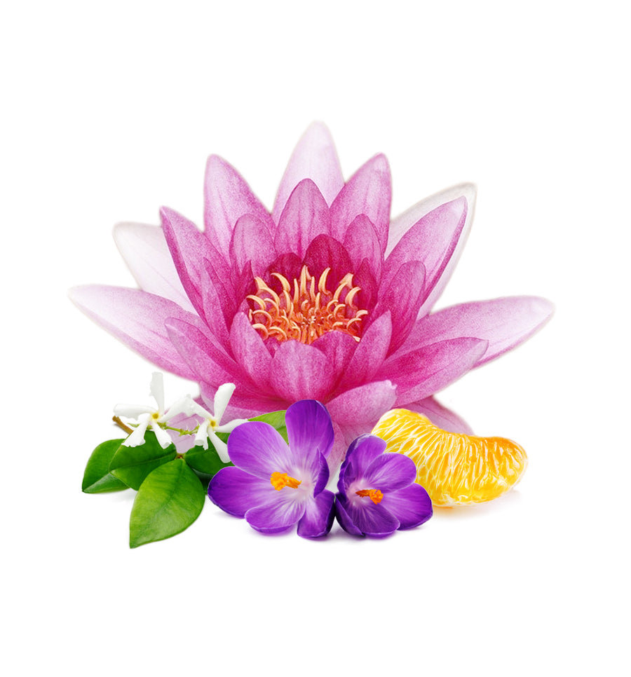 Waterlily and Jasmine Fragrance Oil - New Zealand Candle Supplies
