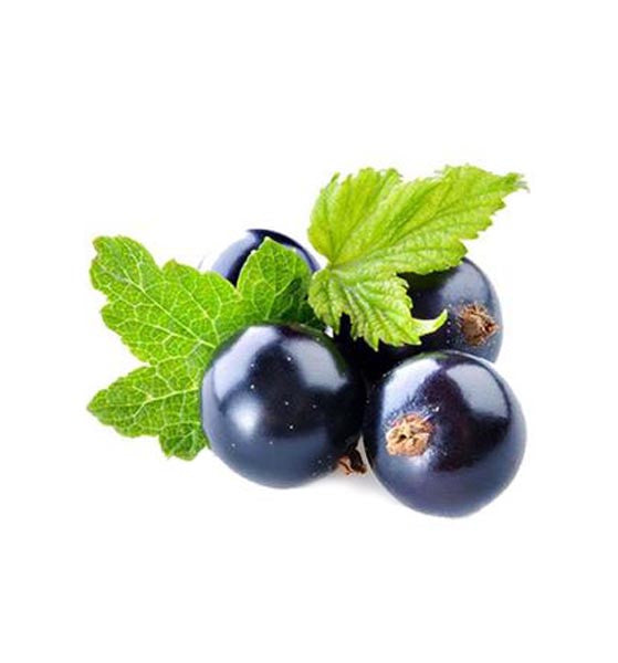 Blackcurrant Natural Fragrance Oil - New Zealand Candle Supplies